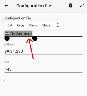 copy-connection-name