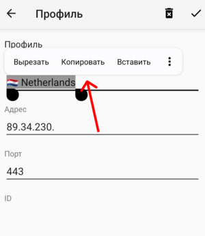 скопируйте-название-подключения