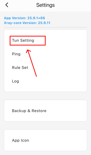 onexray-tun-settings