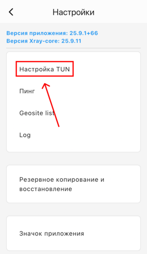 onexray-настройка-tun